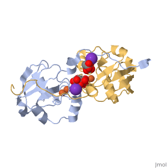 Adrenodoxin