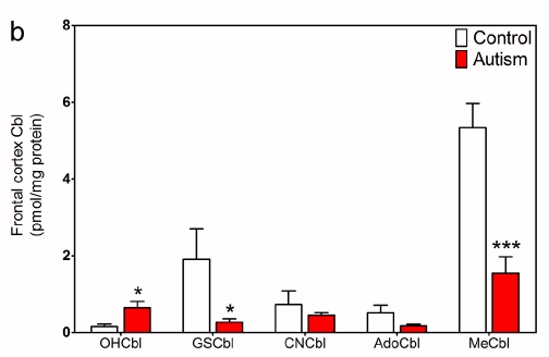 B12_in_brains_autism