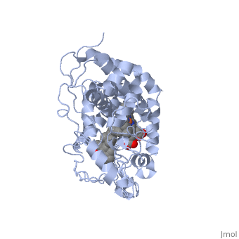 vitaminDHydroxylase